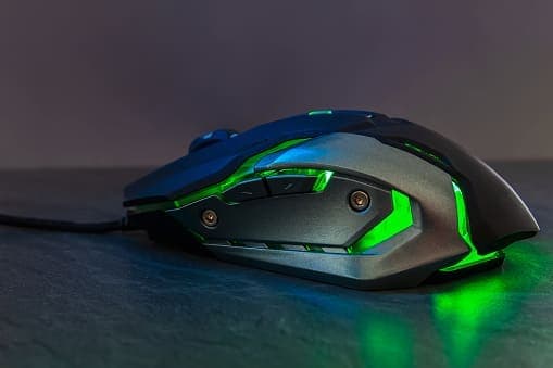 Mouses